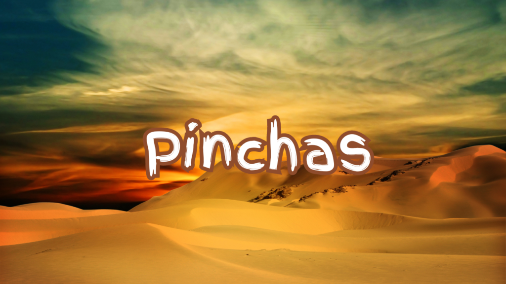 Pinchas
